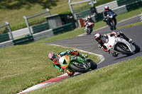 cadwell-no-limits-trackday;cadwell-park;cadwell-park-photographs;cadwell-trackday-photographs;enduro-digital-images;event-digital-images;eventdigitalimages;no-limits-trackdays;peter-wileman-photography;racing-digital-images;trackday-digital-images;trackday-photos